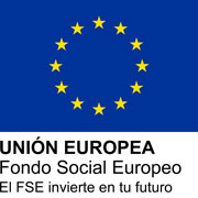 UE FSE Logo